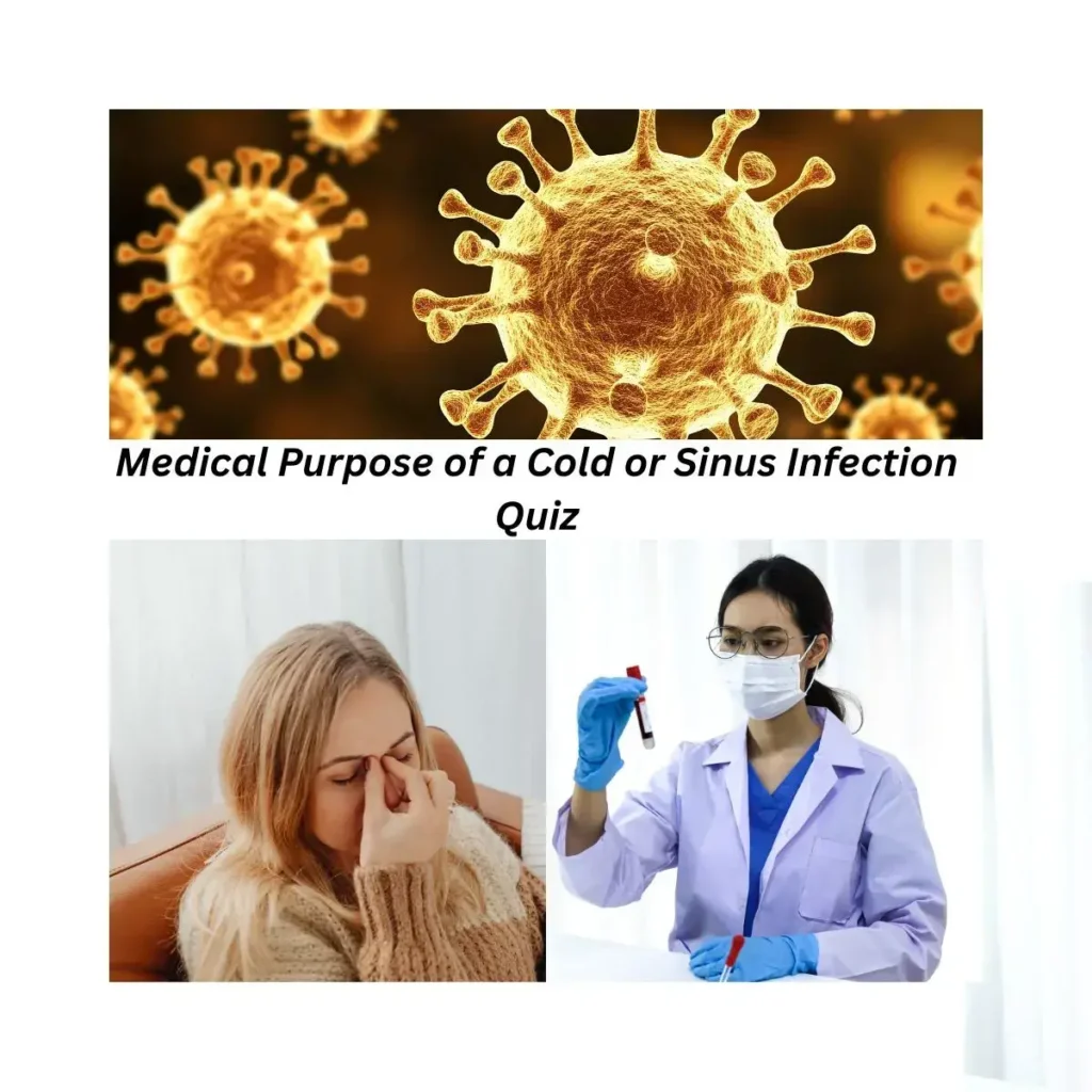cold-or-sinus-infection-quiz