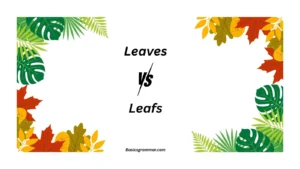 leaves-or-leafs