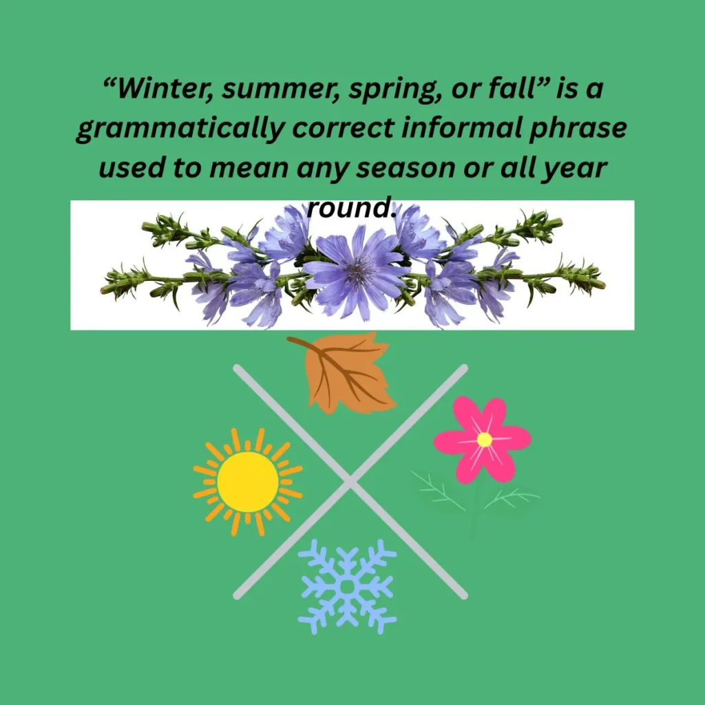 winter-summer-spring-or-fall