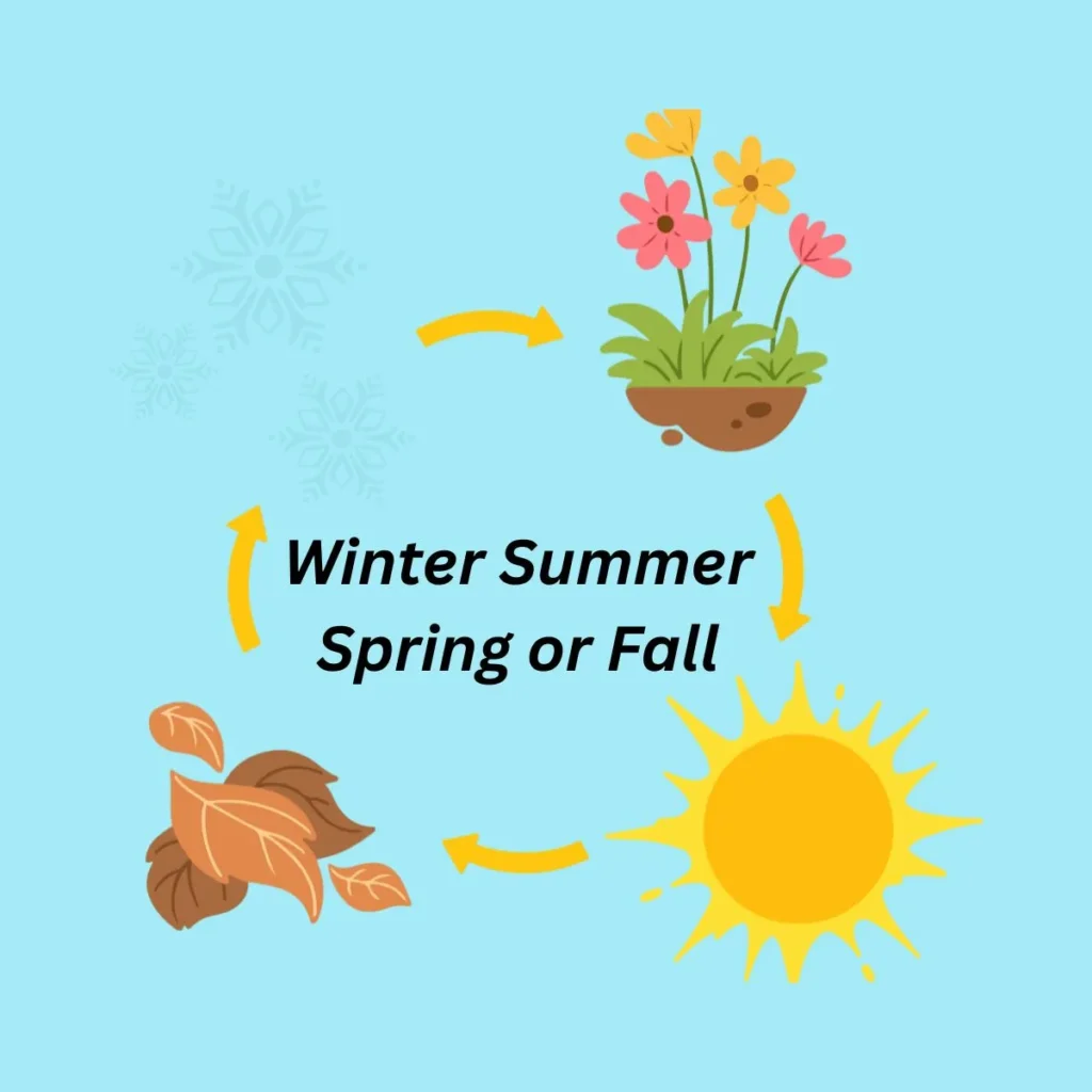 winter-summer-spring-or-fall
