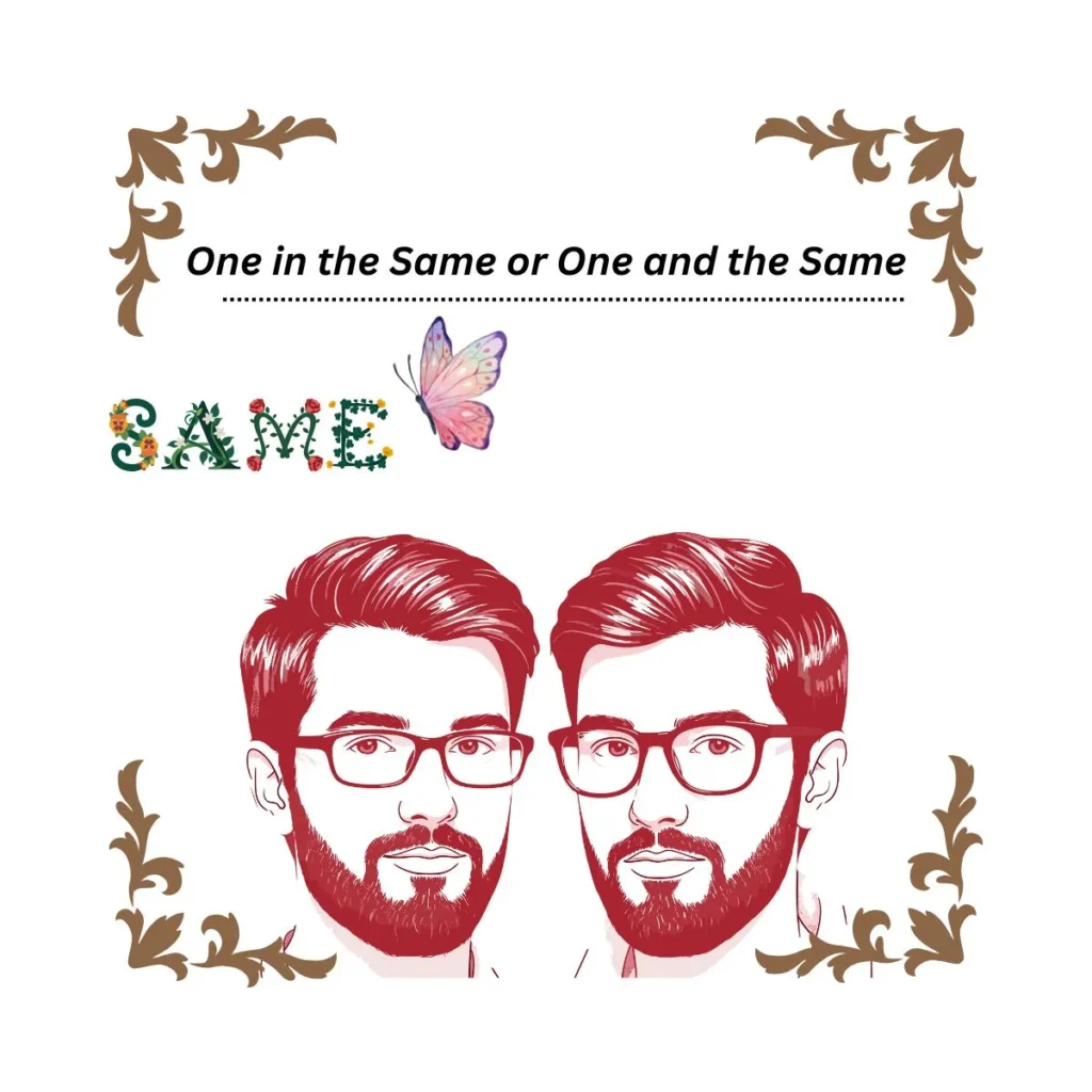 one-in-the-same-or-one-and-the-same