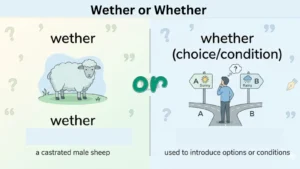 wether-or-whether