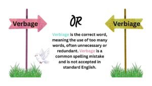 verbage-or-verbiage