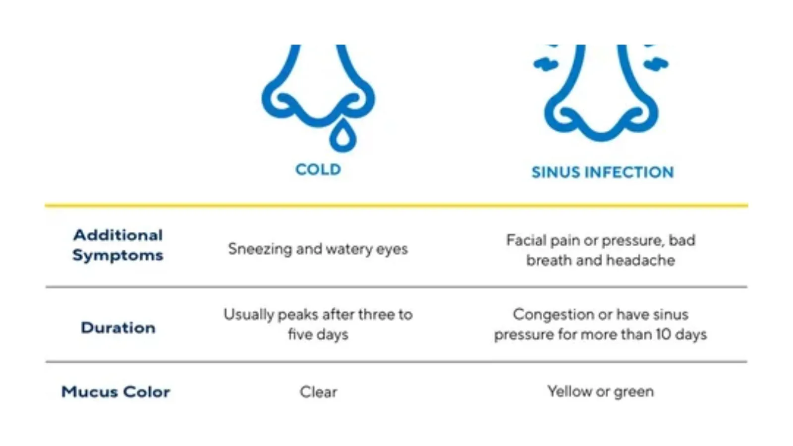 cold-or-sinus-infection-quiz