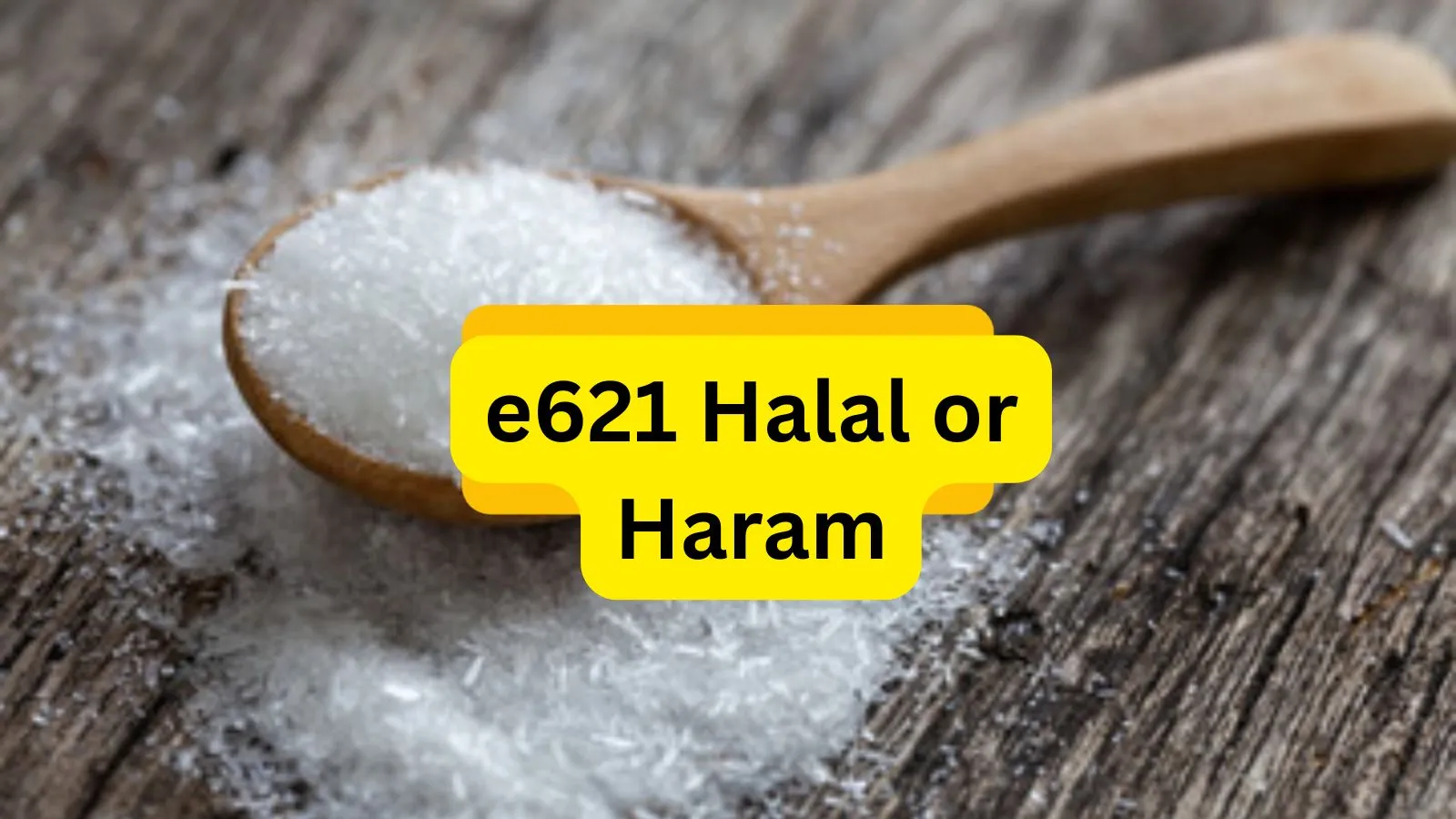 e621-halal-or-haram
