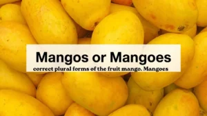 mangos-or-mangoes