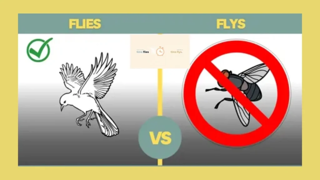 time-flies-or-flys
